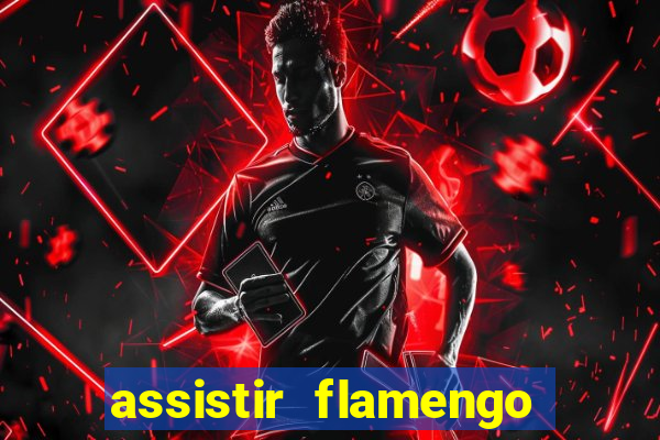 assistir flamengo futebol play hd